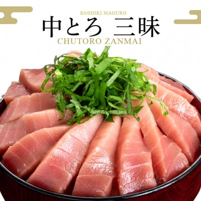 【2026年1月下旬より順次出荷】こしき本マグロ(中トロ三昧) 合計400g BS-904