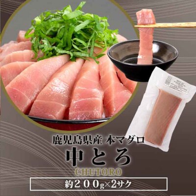 【2026年1月下旬より順次出荷】こしき本マグロ(中トロ三昧) 合計400g BS-904