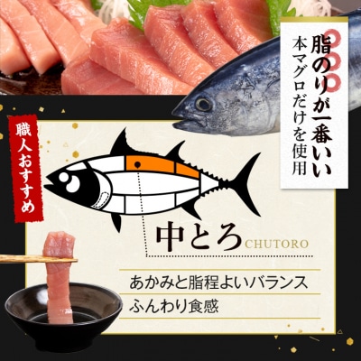 【2026年1月下旬より順次出荷】こしき本マグロ(中トロ三昧) 合計400g BS-904