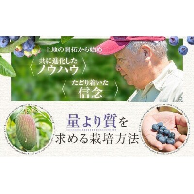 数量限定 ブルーベリージャム マンゴージャム はちみつのセット 各1個 S 10 A 163 お礼品詳細 ふるさと納税なら さとふる