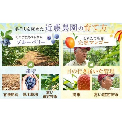 数量限定 ブルーベリージャム マンゴージャム はちみつのセット 各1個 S 10 A 163 お礼品詳細 ふるさと納税なら さとふる