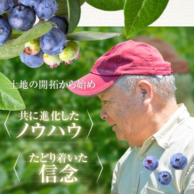 【数量限定】ブルーベリー&マンゴー果汁ジュース(180g×各3本)セット(S-13) AS-338