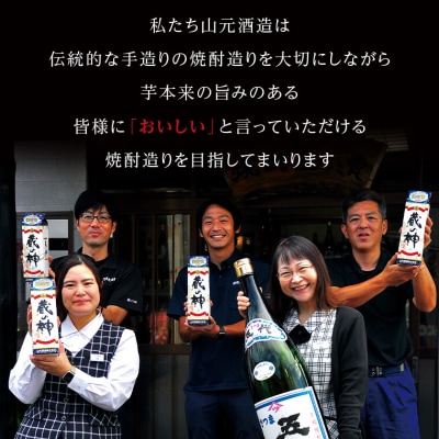 蔵の神スリムパック 900ml×3本　 山元酒造 AS-2040