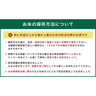 【3ヶ月定期便】 <無洗米> 薩摩川内市産 ひのひかり 3種の炊き込みご飯の素 セット C-903
