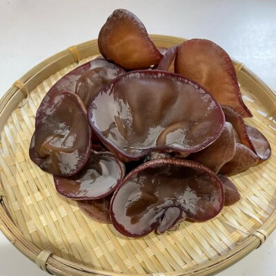 【数量限定】薩摩川内市産の生きくらげ・乾燥きくらげ・きくらげパウダーセット A-576