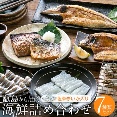 【訳あり】【期間限定】甑島の海鮮詰め合わせ(いか) ※あじ小さめ A-467