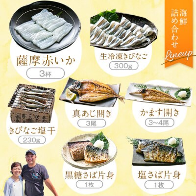 【訳あり】【期間限定】甑島の海鮮詰め合わせ(いか) ※あじ小さめ A-467