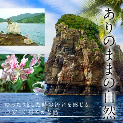 【訳あり】【期間限定】甑島の海鮮詰め合わせ(いか) ※あじ小さめ A-467