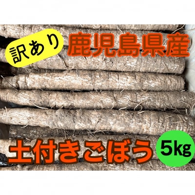 【訳アリ】鹿児島県産　土付きごぼう　5kg　Z-879