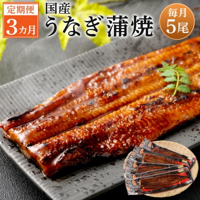 【3カ月定期便】 九州産うなぎ蒲焼 約170g×5尾×3回　JS-224