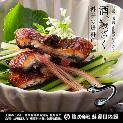 【3カ月定期便】 九州産うなぎ蒲焼 約170g×5尾×3回　JS-224