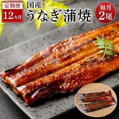 【12カ月定期便】 九州産うなぎ蒲焼(約170g×2尾×12回) KS-103