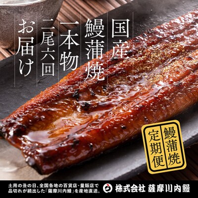【6カ月定期便】 九州産うなぎ蒲焼(約170g×2尾×6回) ss0419