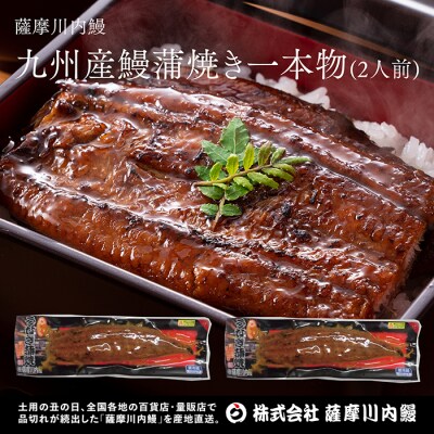 【6カ月定期便】 九州産うなぎ蒲焼(約170g×2尾×6回) ss0419