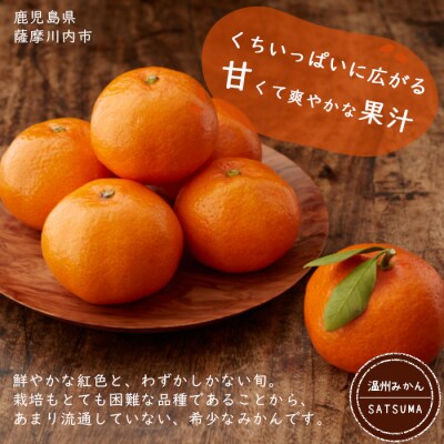 【ご家庭用・訳あり】 紅みかん(山下紅) 5kg　A-0215