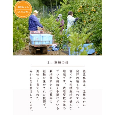 【ご家庭用・訳あり】 紅みかん(山下紅) 5kg　A-0215