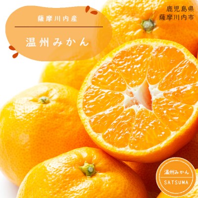 【ご家庭用・訳あり】 温州みかん 10kg　A-841