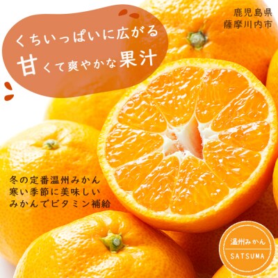 【ご家庭用・訳あり】 温州みかん 10kg　A-841