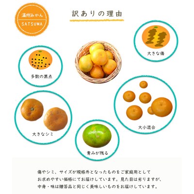 【ご家庭用・訳あり】 温州みかん 10kg　A-841