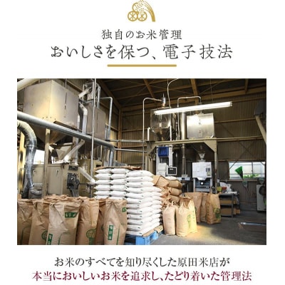 薩摩エース お米マイスター厳選 特A 計10kg(5kg×2)　米 精米 DS-309