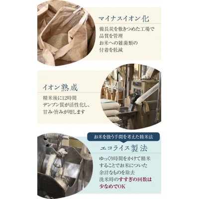 薩摩エース お米マイスター厳選 特A 計10kg(5kg×2)　米 精米 DS-309