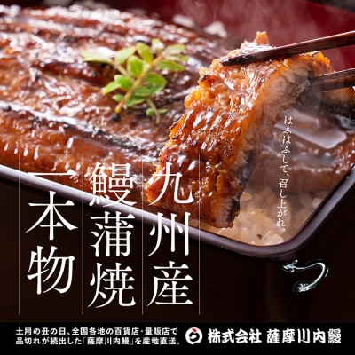 【数量限定】先行受付　丑の日用九州産うなぎ蒲焼  計850g(約170g×5尾 ) CSR-701
