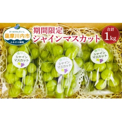 【数量限定】【先行受付】シャインマスカット 計1kg マスカット ぶどう AS-2239