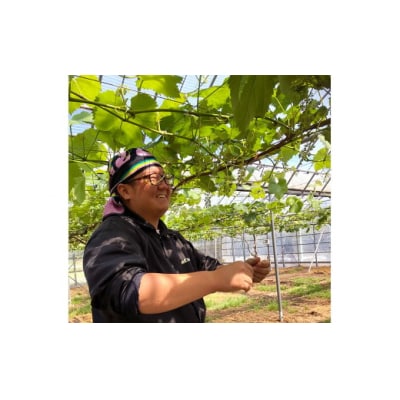 【数量限定】【先行受付】シャインマスカット 計1kg マスカット ぶどう AS-2239