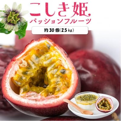 【先行受付】数量限定 甑島のパッションフルーツ 2.5kg ご自宅用 BS-639