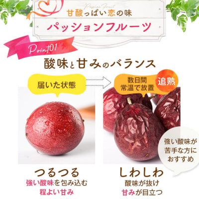 【先行受付】数量限定 甑島のパッションフルーツ 2.5kg ご自宅用 BSR-863