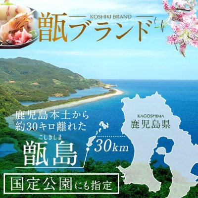 【先行受付】数量限定 甑島のパッションフルーツ 2.5kg ご自宅用 BS-639
