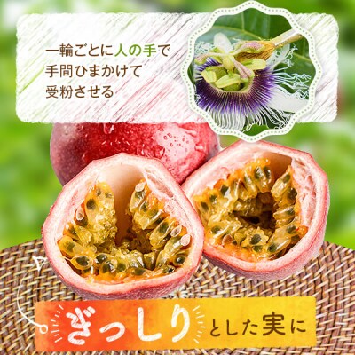 【数量限定】パッションフルーツ青果贈答品 L・LL玉8～10玉入り AS-495
