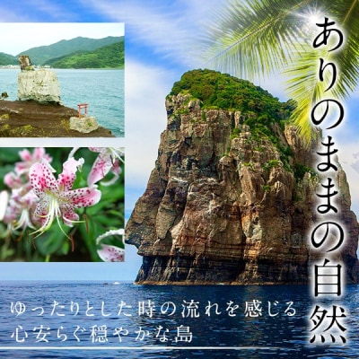 【数量限定】パッションフルーツ青果贈答品 L・LL玉8～10玉入り AS-495