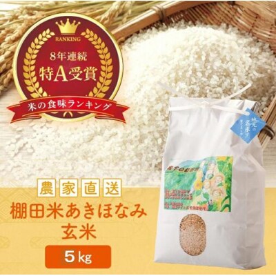 令和4年度 八代市東陽町産 ヒノヒカリ 棚田米 30kg 販売 令和4年度 