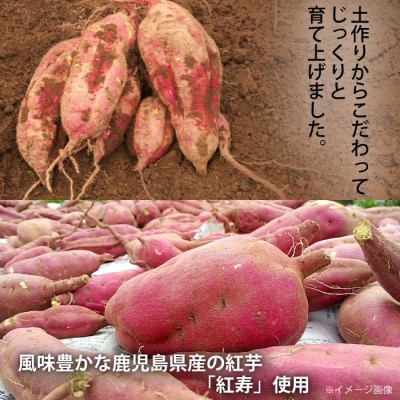 【鹿児島限定・数量限定】芋焼酎 流川 1800ml 25度 田苑酒造 AS-023