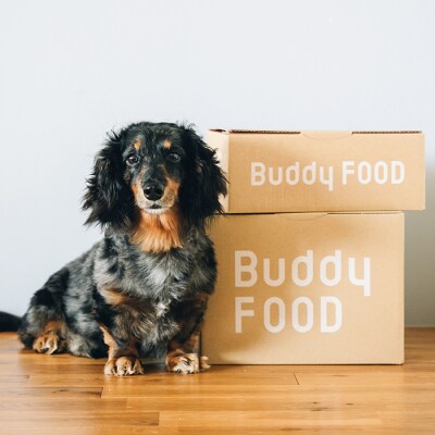 Buddy FOOD 01 黒毛和牛×6パック 【バディフード】AS-2167