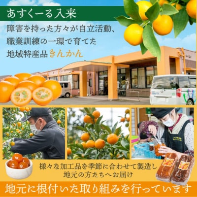 きんかん夢工房　きんかん甘露煮・きんかんシロップセット　ZS-713