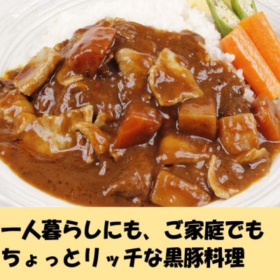 定期便(1ヶ月おき3回)鹿児島県産黒豚 簡単調理おかずセット(レンジ対応) 黒豚 DS-908