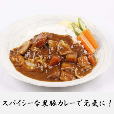定期便(1ヶ月おき3回)鹿児島県産黒豚・うなぎ 簡単調理(丼物)セット(レンジ対応) CS-808