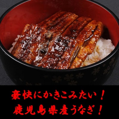 定期便(1ヶ月おき3回)鹿児島県産黒豚・うなぎ 簡単調理(丼物)セット(レンジ対応) CS-808