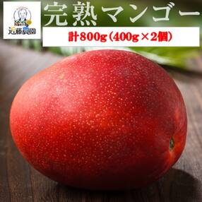 【季節限定】特選贈答完熟マンゴー 800g(400g×2個)(M-1) 7月下旬以降発送 B-109
