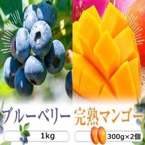 【季節限定】完熟マンゴー(300g×2個)&ブルーベリー(500g×2 )7月下旬以降発送B-317