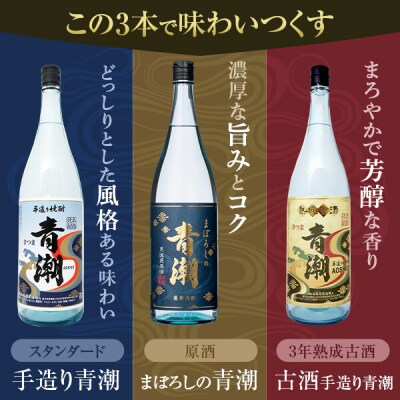 青潮味比べセット 各1800ml×3種　DSR-312
