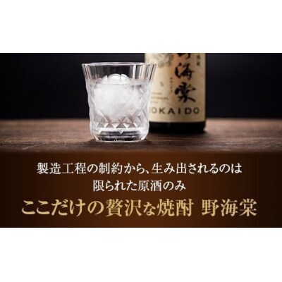 野海棠【芋・麦】飲み比べセット 1800ml  焼酎 本格焼酎 芋焼酎 麦焼酎 BS-964