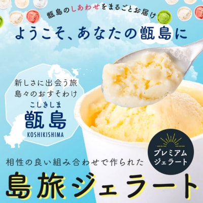 島旅 ジェラート 100ml×8個 セット アイス AS-590