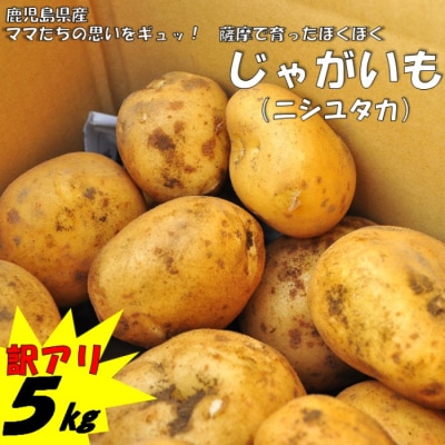 【訳アリでオススメ!】薩摩で育ったほくほくじゃがいも5kg(ニシユタカ)　期間限定　ZS‐645
