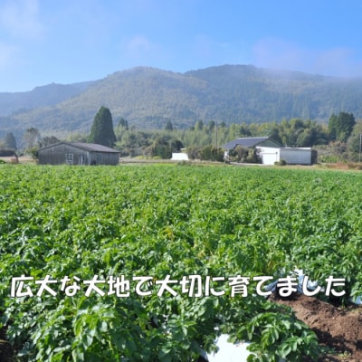 【訳アリでオススメ!】薩摩で育ったほくほくじゃがいも5kg(ニシユタカ)　期間限定　ZS‐645