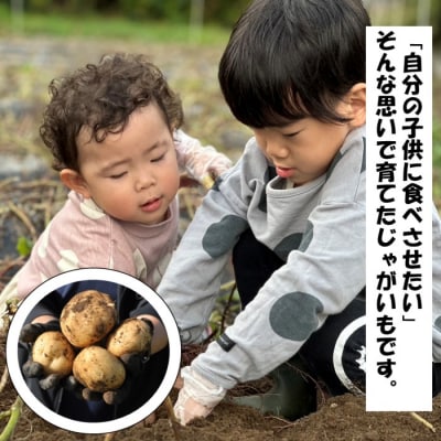 【訳アリでオススメ!】薩摩で育ったほくほくじゃがいも5kg(ニシユタカ)　期間限定　ZS‐645
