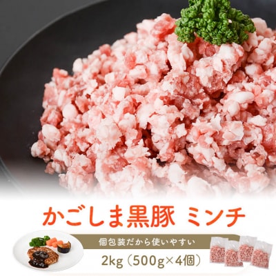 【訳あり】黒豚農場薩摩八重ファームのかごしま黒豚ミンチ 2kg SDGs 薩摩川内 AS-508