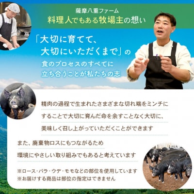 【訳あり】黒豚農場薩摩八重ファームのかごしま黒豚ミンチ 2kg SDGs 薩摩川内 AS-508